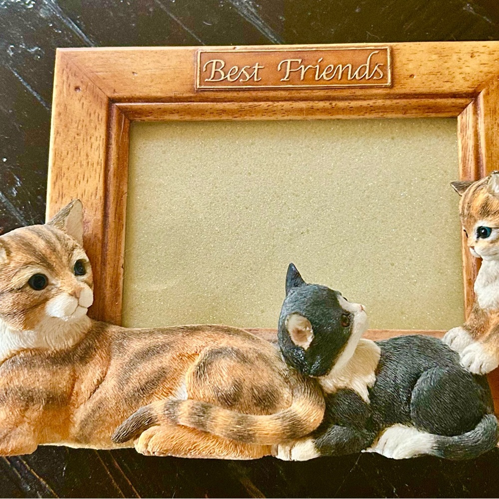 Best Friends Cat Picture Frame - ceramic and wood 4x6 picture - beautiful!!!
